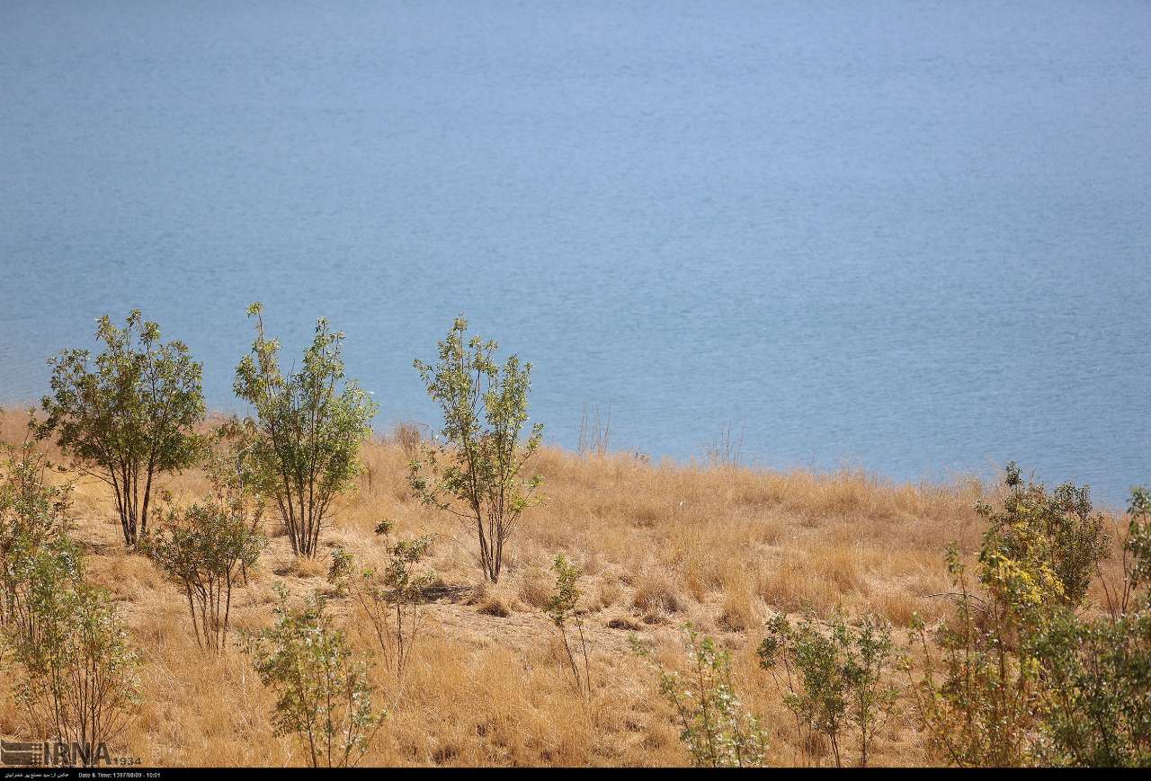 دریاچه سد بانه