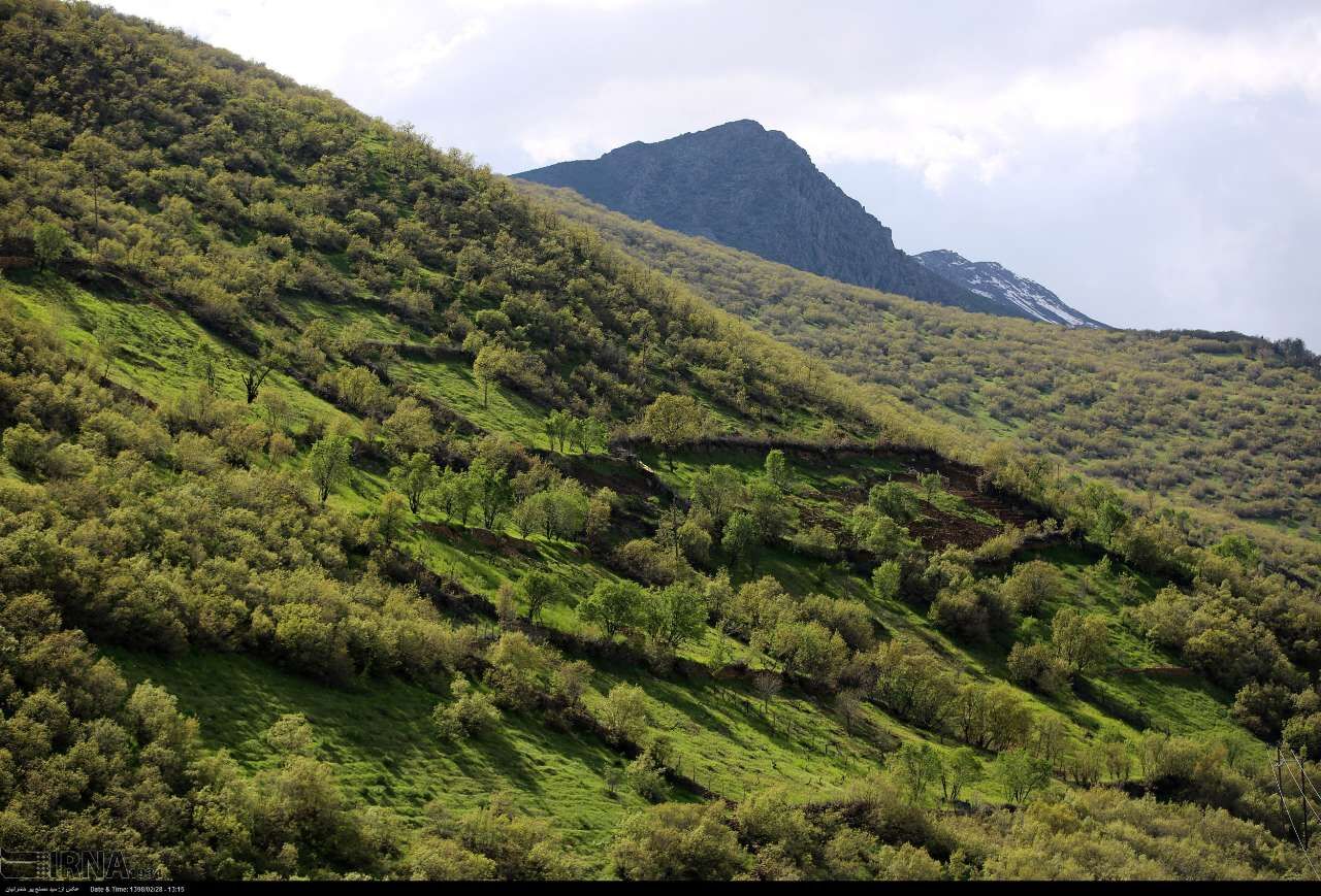 روستای نوین اورامان