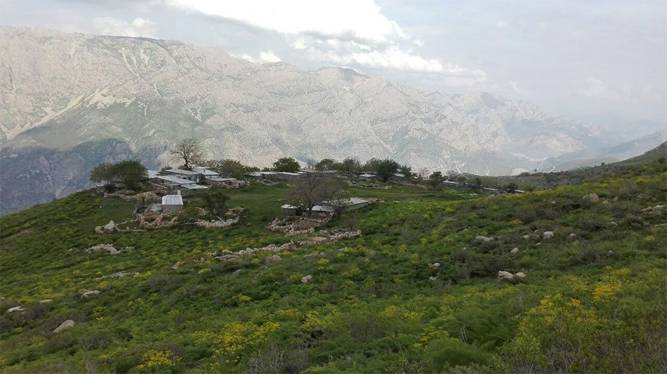روستای نوین اورامان