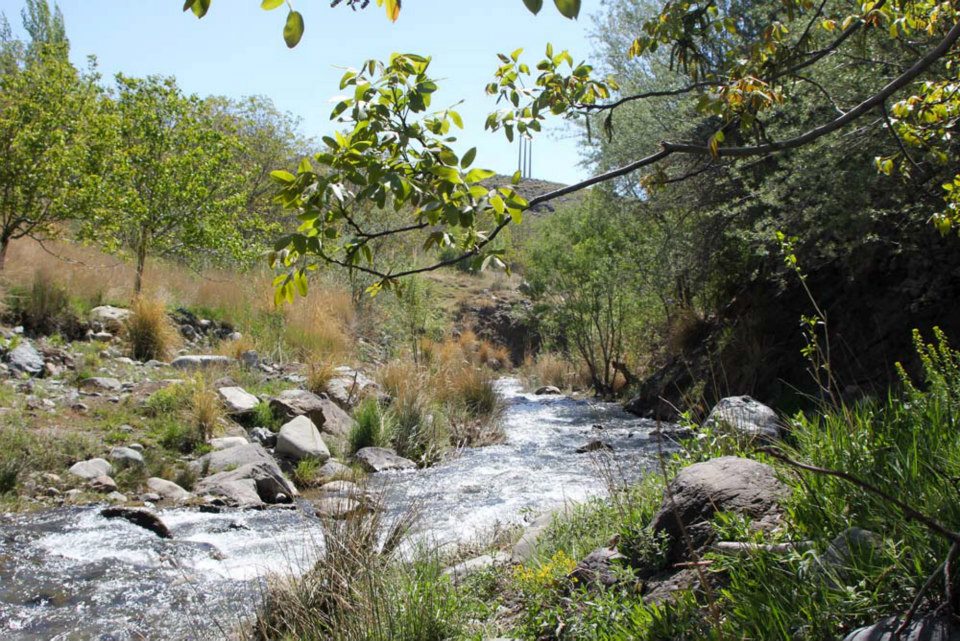 چشمه عروس رابر