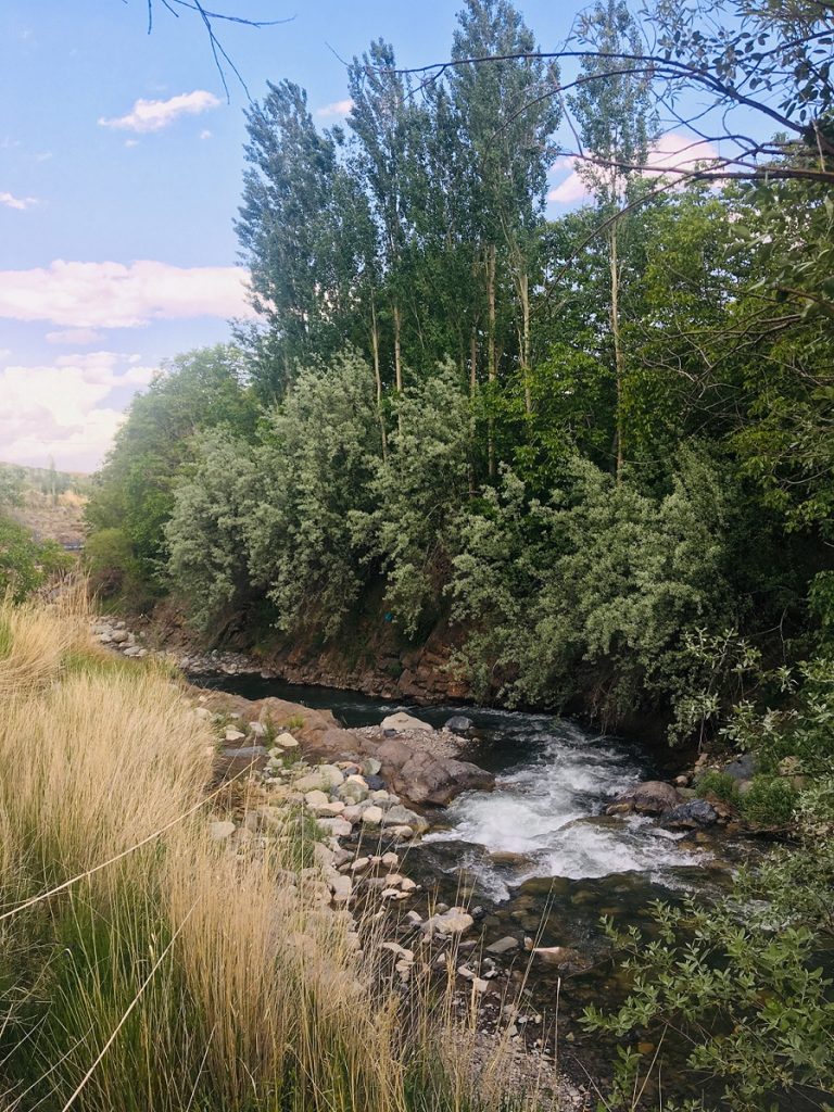 چشمه عروس رابر