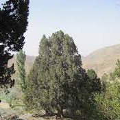 روستای سبلا