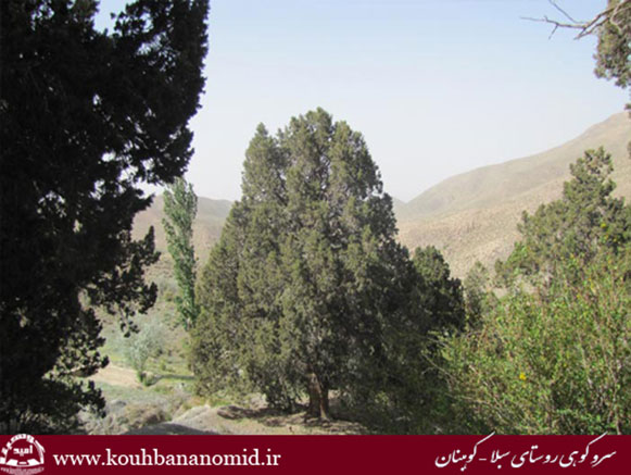 روستای سبلا