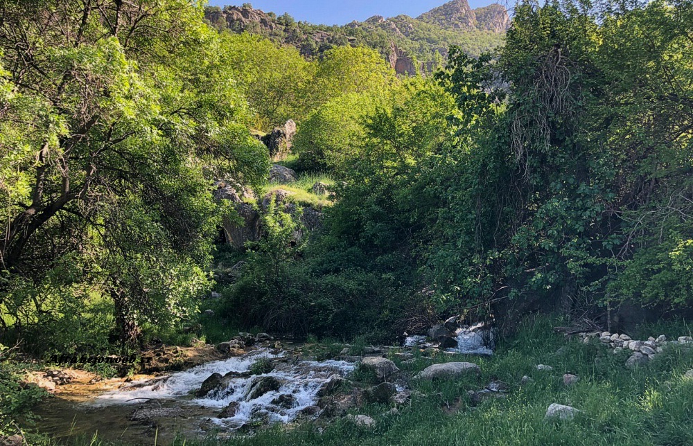 رود رونه باشت مقصدی برای گردشگری 