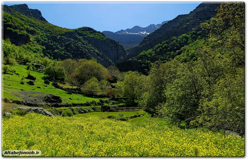 رود رونه باشت