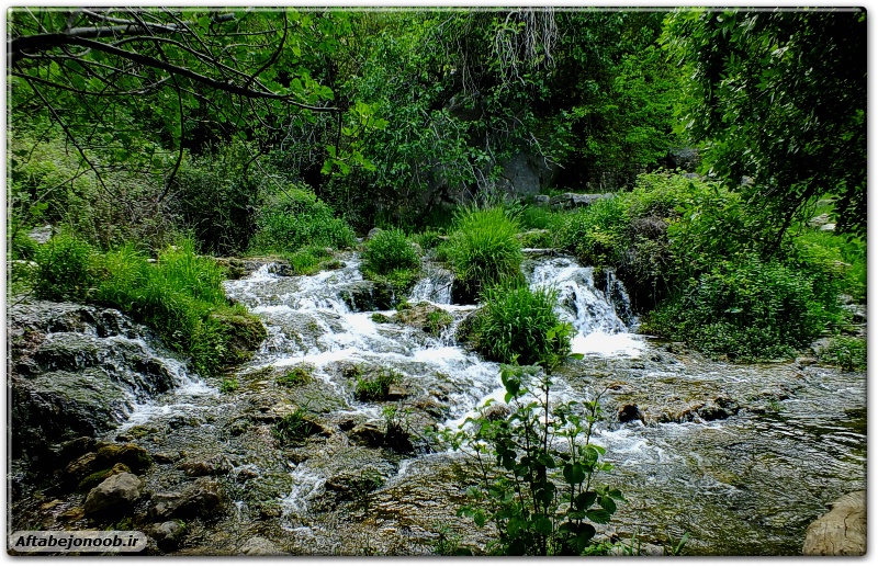 رود رونه باشت