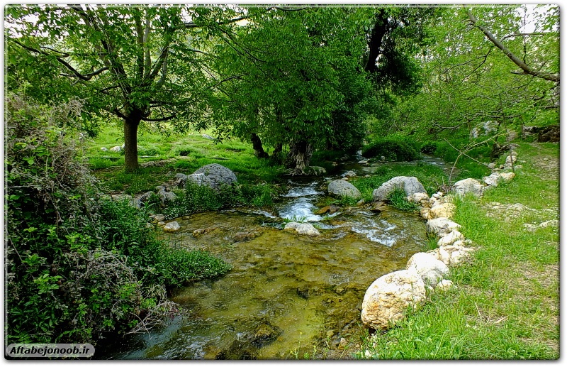 رود رونه باشت