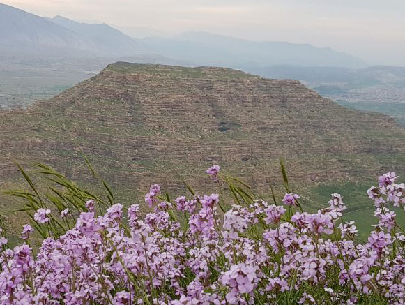 قلعه نادر بهمئی