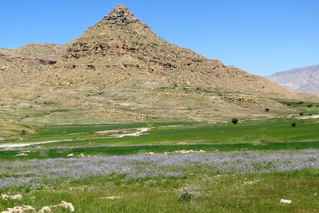 قلعه نادر بهمئی