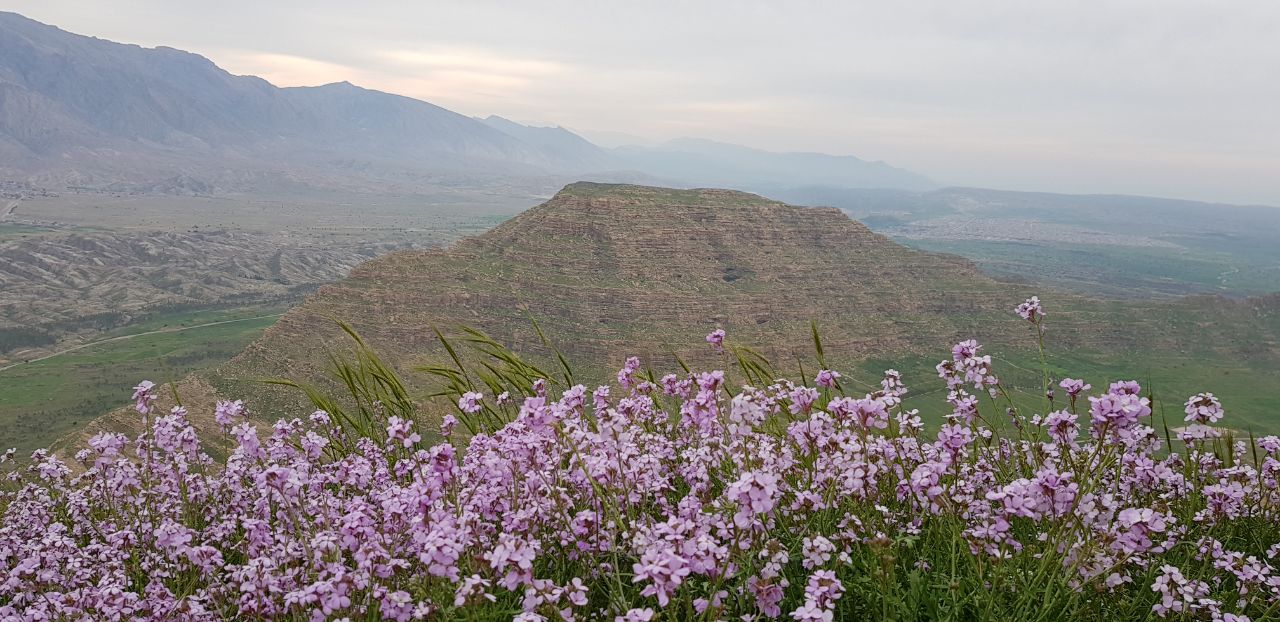 قلعه نادر بهمئی