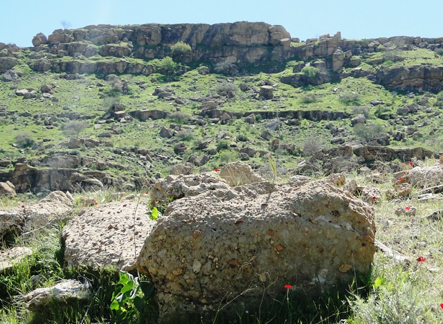 قلعه نادر بهمئی