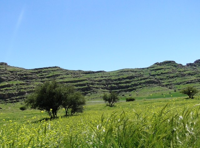 قلعه نادر بهمئی
