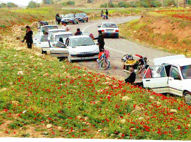 قلعه نادر بهمئی
