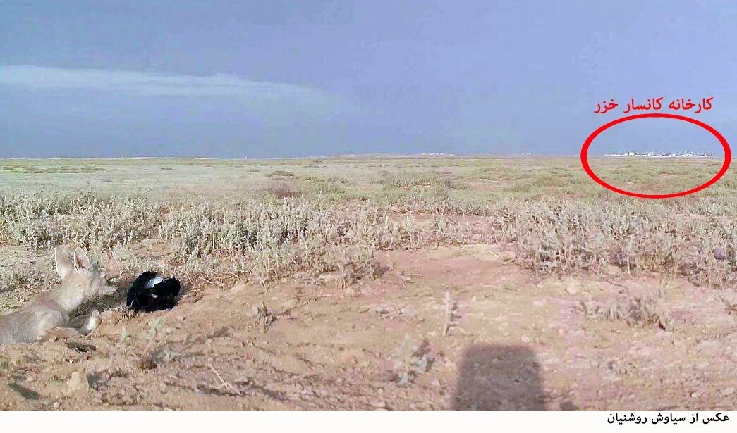 تالاب و گل فشان اینچه