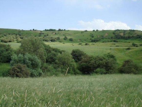 میرآباد اشنویه