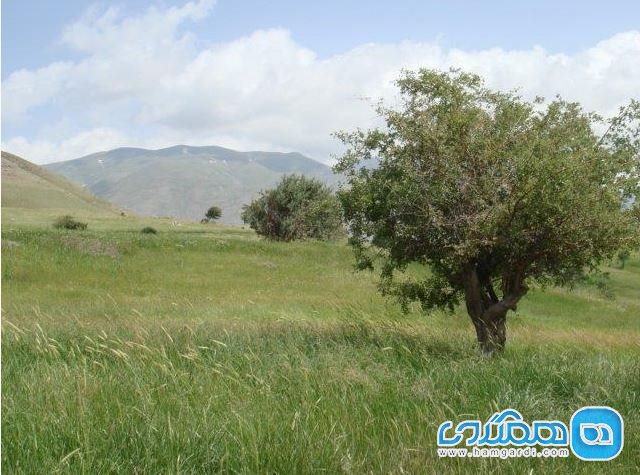 میرآباد اشنویه