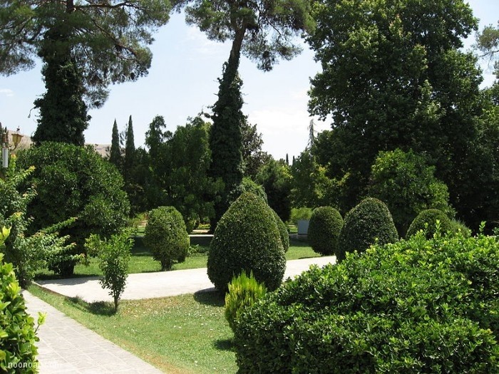 باغ ارم شیراز