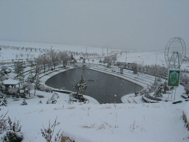 یئددی گوز نقده