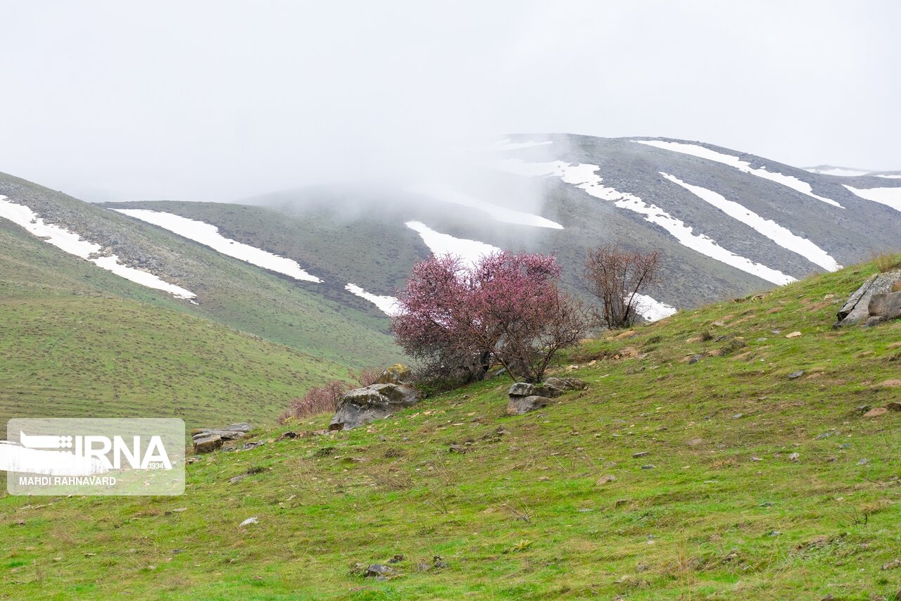 دره سلطان یعقوب نقده