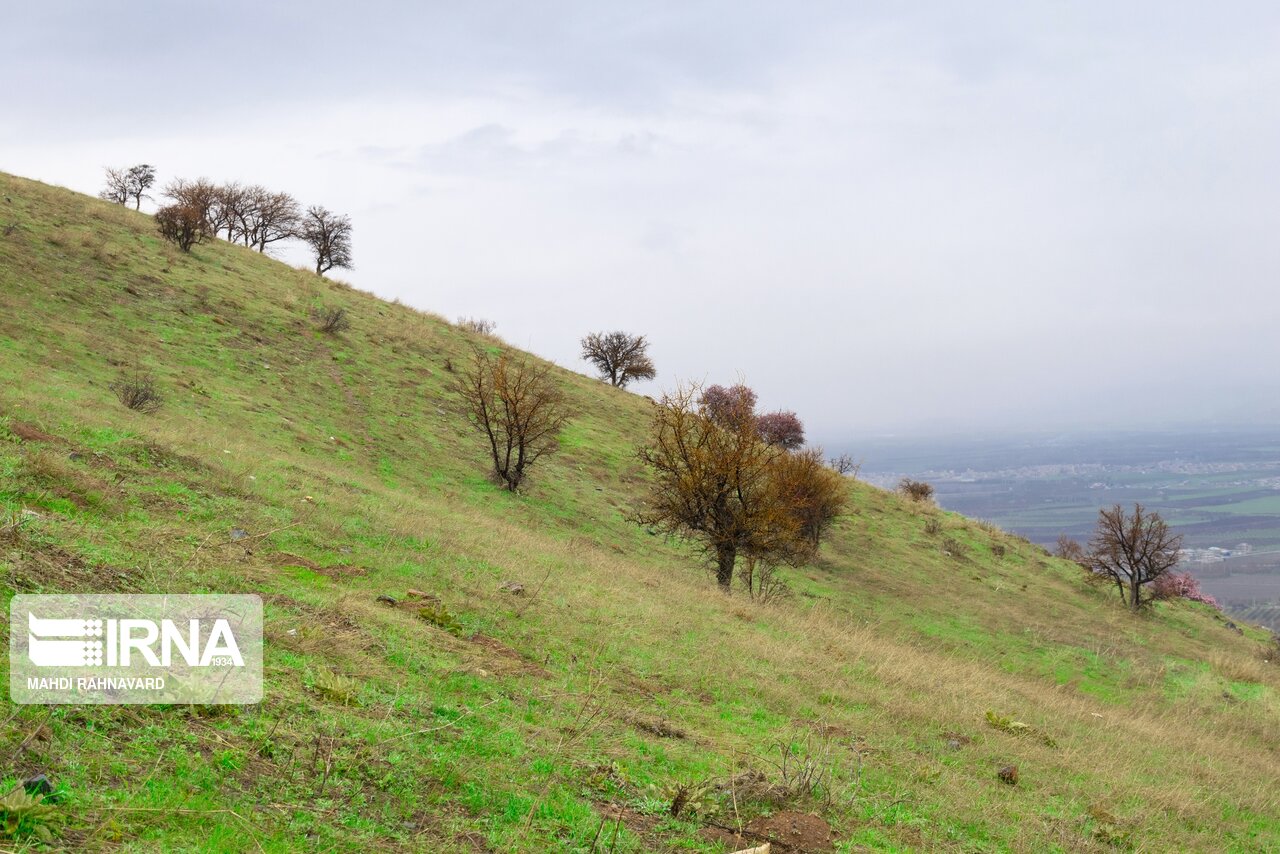 دره سلطان یعقوب نقده