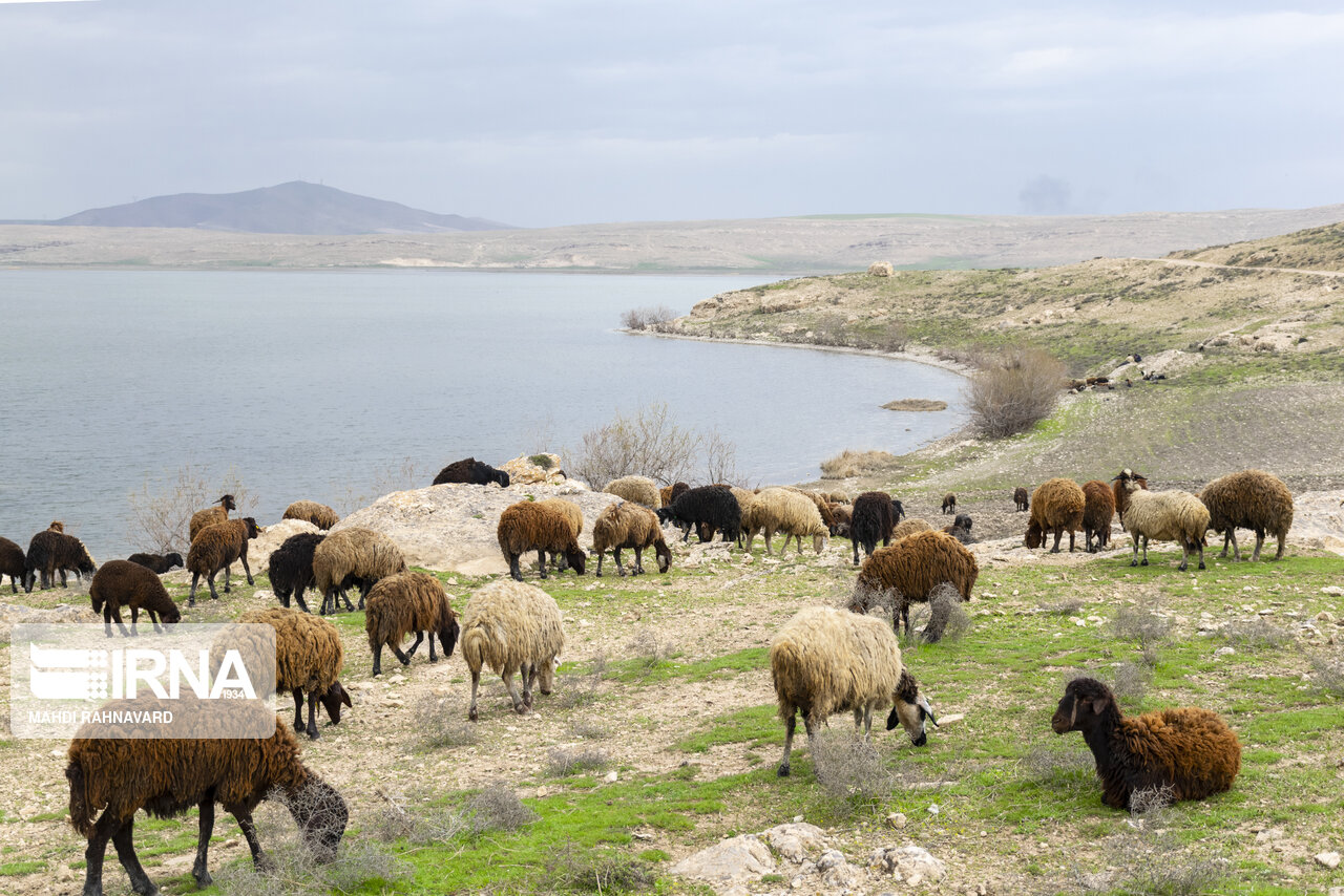 تالاب درگه سنگی نقده
