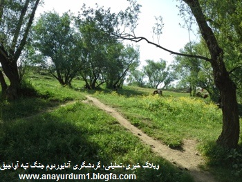 شیرین بلاغ آواجیق