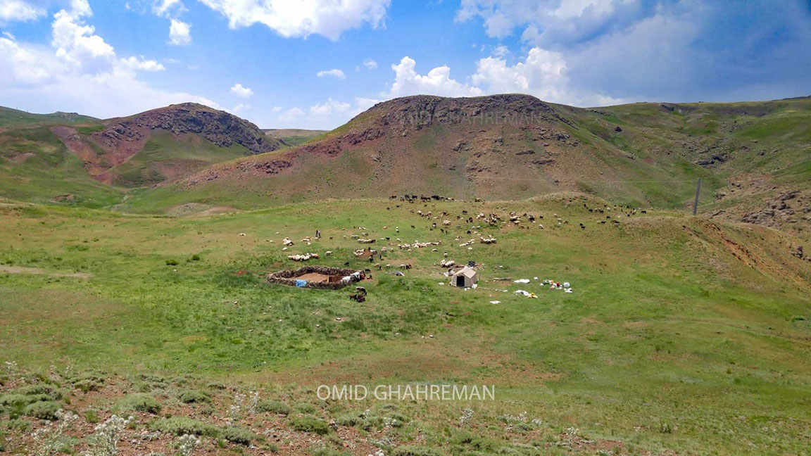 شیرین بلاغ آواجیق