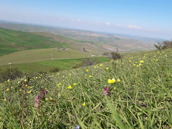 گلی بلاغ بیله سوار