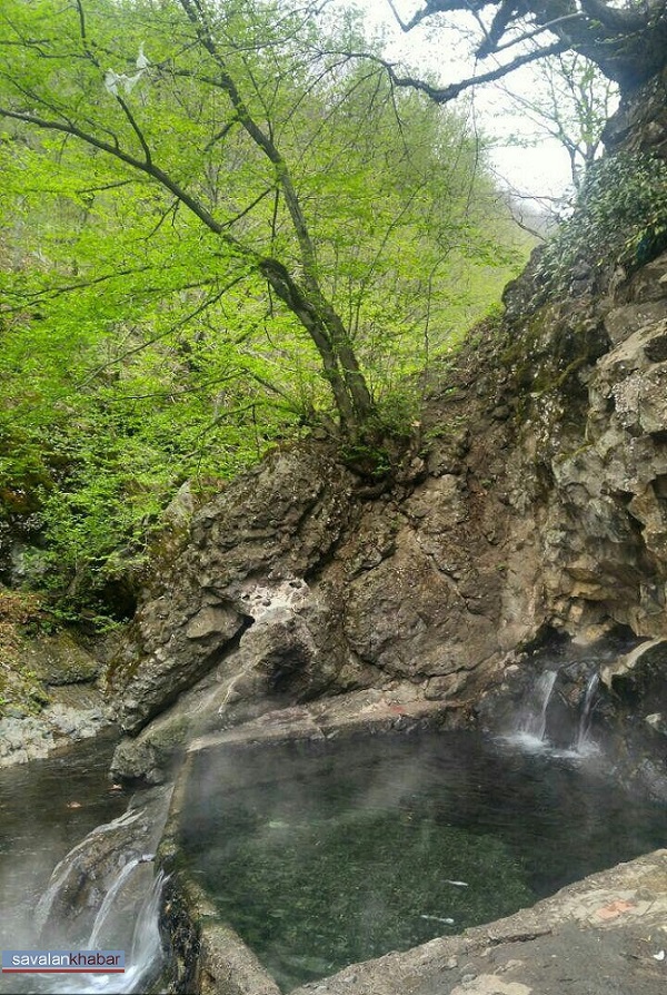 مشه سویی