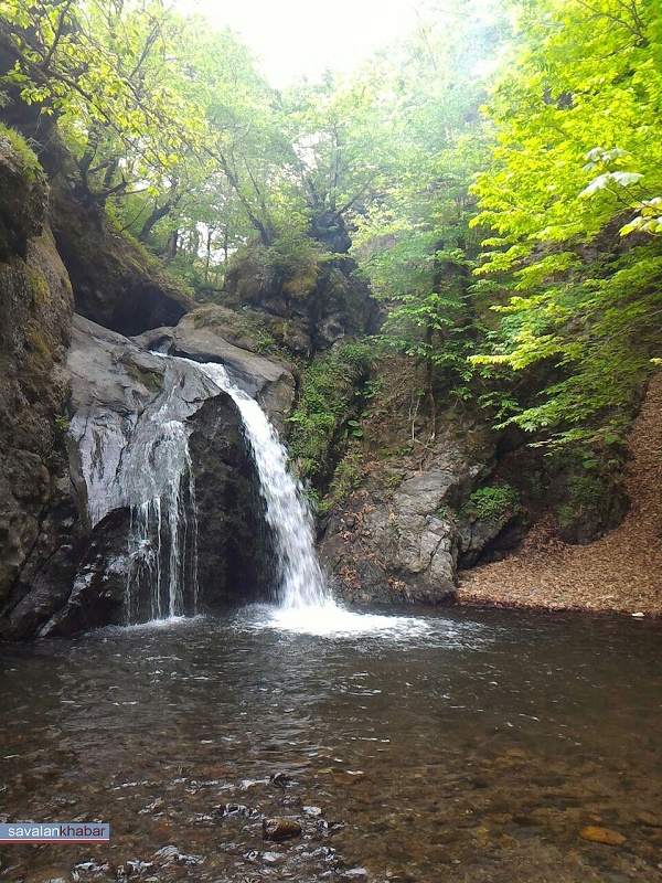 مشه سویی