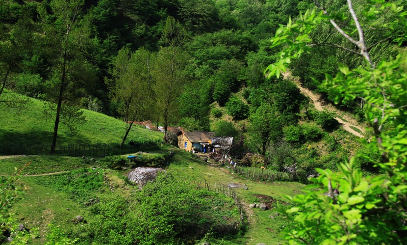 مشه سویی