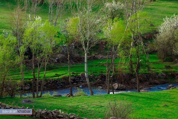 بولاغلار