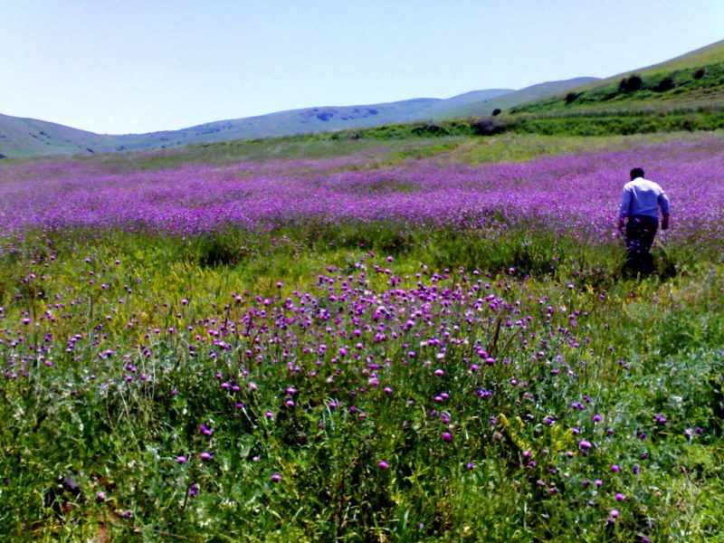 روستای خان کندی گرمی