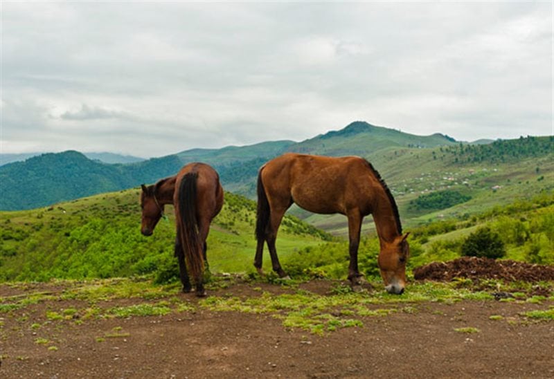 روستای خان کندی گرمی