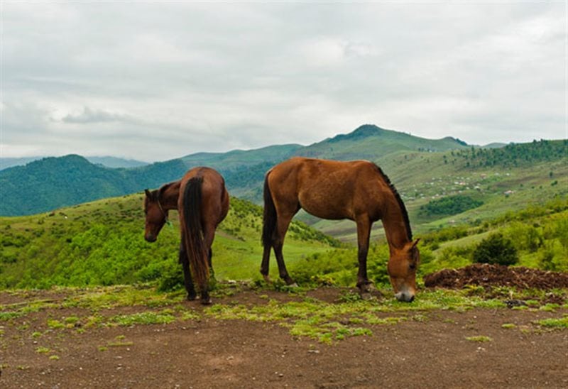 معرفی روستای خان کندی گرمی