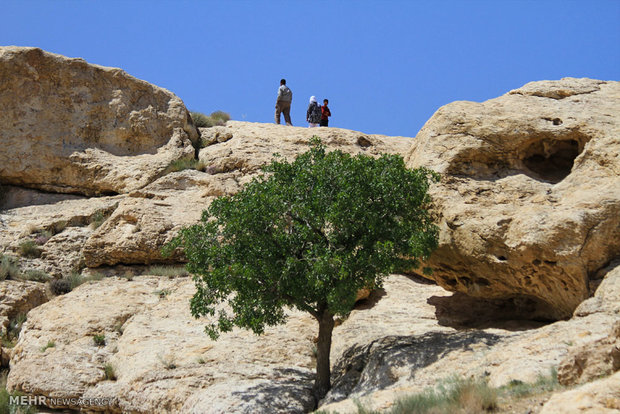 بی بی دن سیرجان