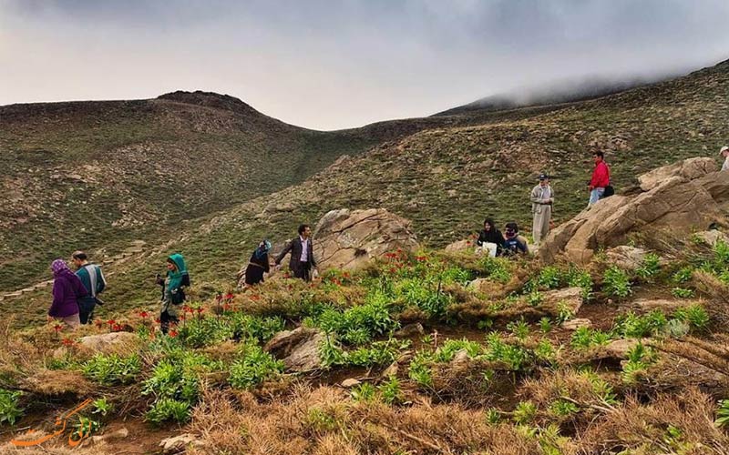 گلستانکوه خوانسار