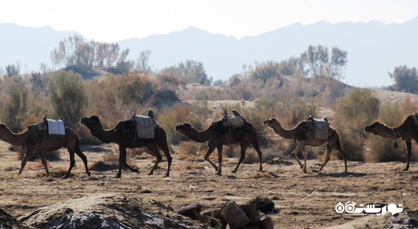 روستای بیاضه خور و بیابانک