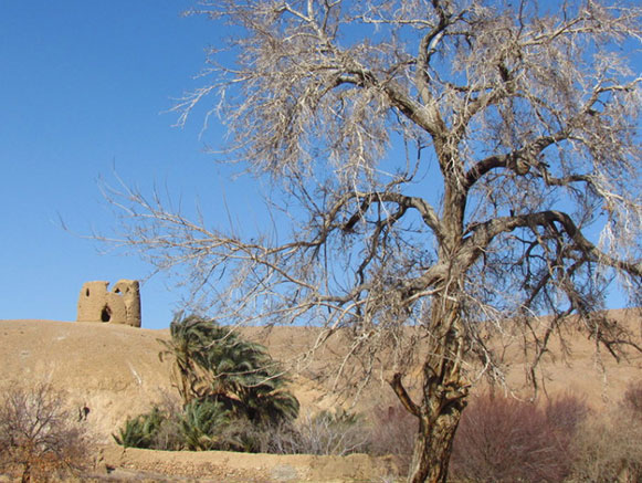 دیوانخانه اردیب