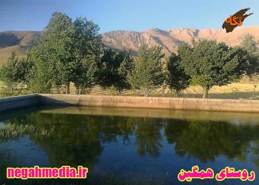 روستای همگین دهاقان