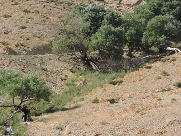 روستای خینه پادنا