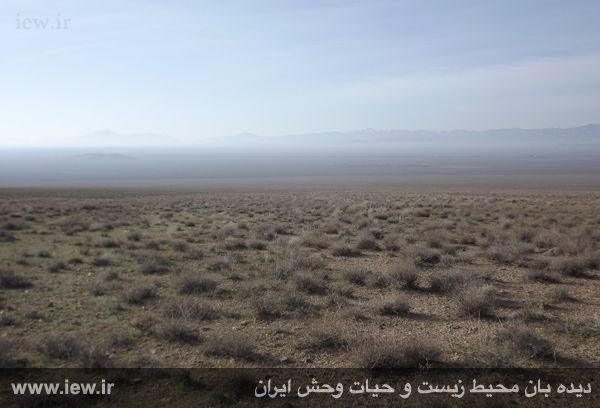 پناهگاه حیات وحش موته