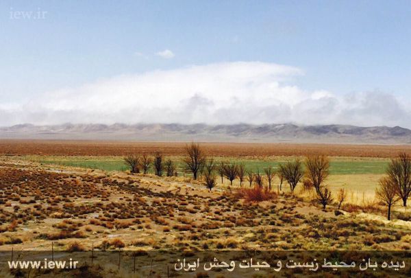 پناهگاه حیات وحش موته