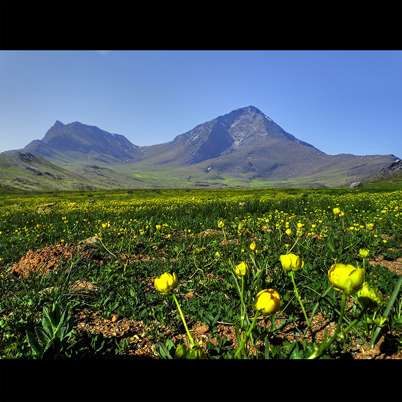 رشته کوه دالان