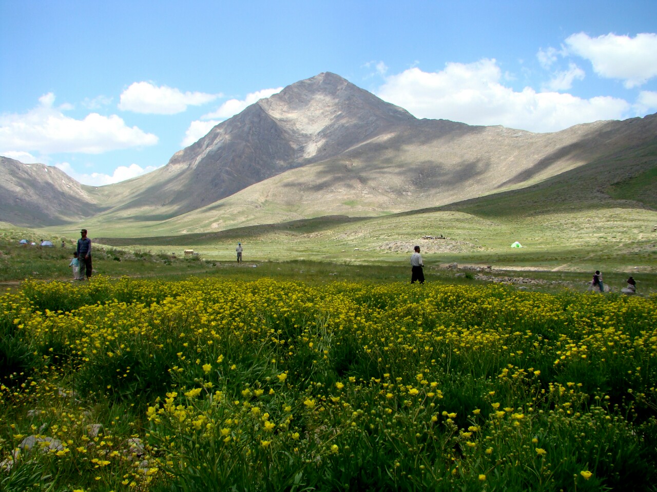 رشته کوه دالان