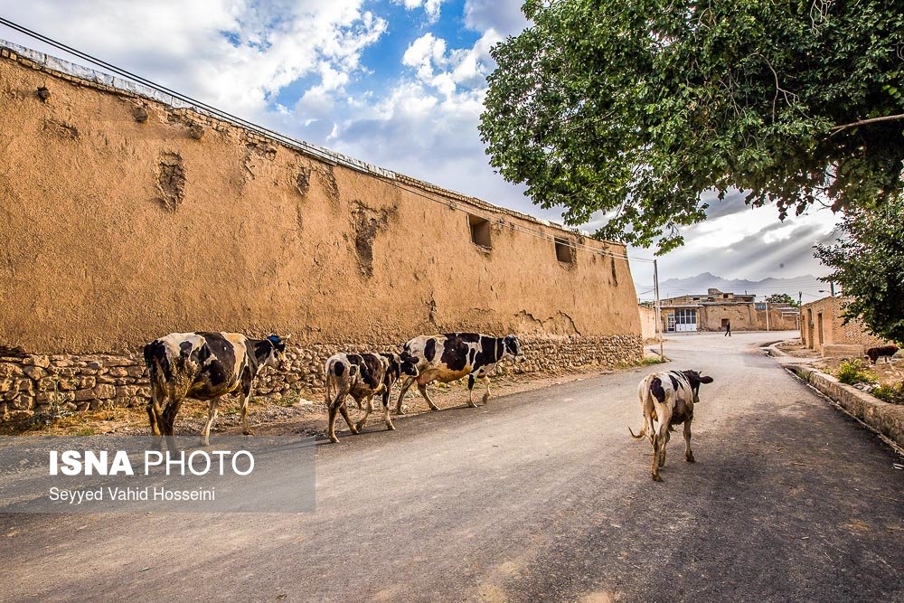 روستای خویگان علیا فریدون شهر
