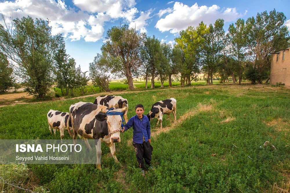 روستای خویگان علیا فریدون شهر