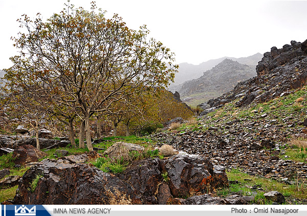 آبشار طامه نطنز