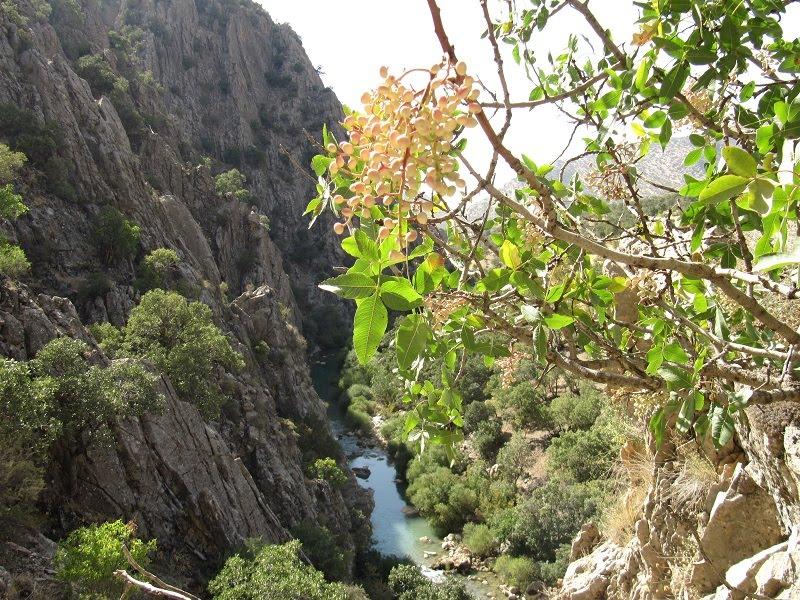 آبشار کاکارضا
