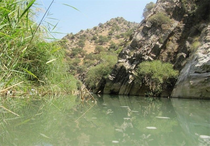 کاکارضا سلسله